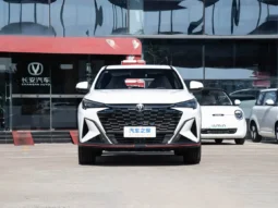 
										Changan X5 Plus (Automatic Basic) full									