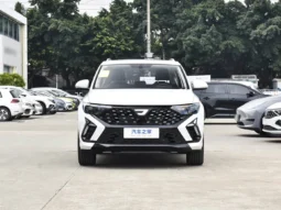 
										VS5 (Manual Full Option) full									