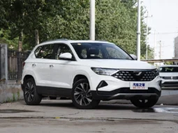 
										VS5 (Flagship Full) full									