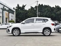 
										VS5 (Manual Full Option) full									