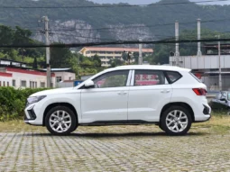 
										VS5 (Automatic Basic, No Sunroof) full									