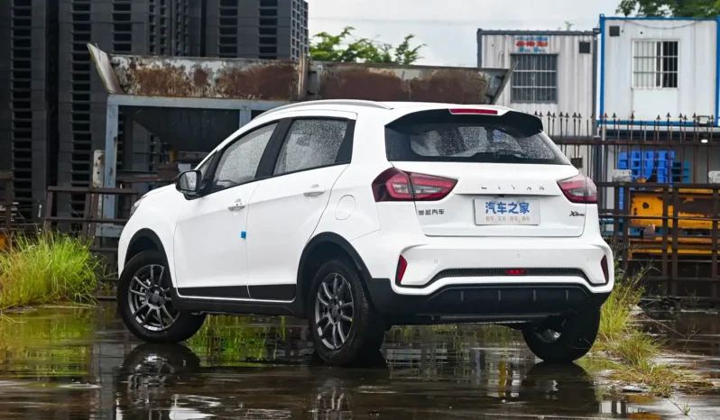 
								Livan X3 PRO – Auto. full									