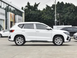 
										VS5 (Manual Full Option) full									