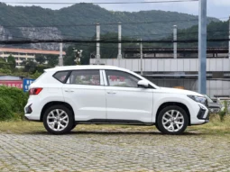 
										VS5 (Automatic Basic, No Sunroof) full									