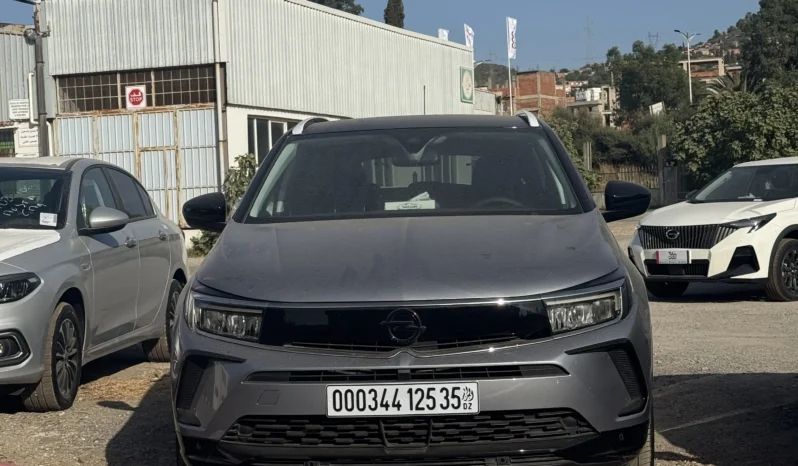 
								Opel Grandland full									