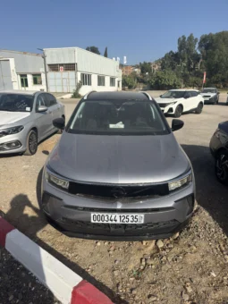 
										Opel Grandland full									