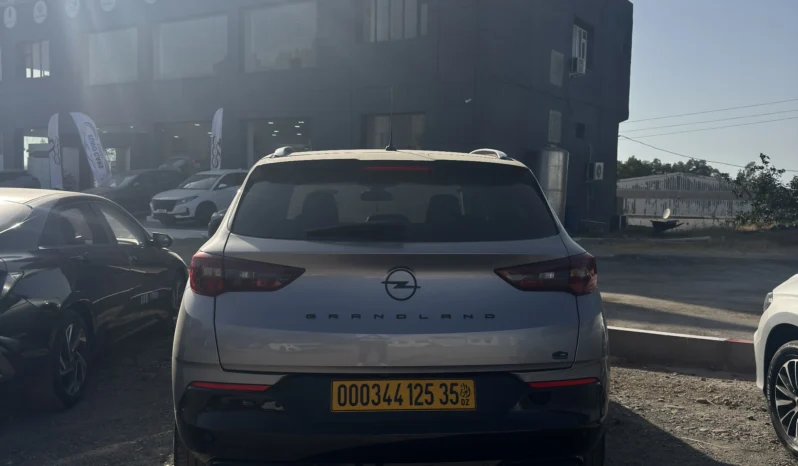 
								Opel Grandland full									