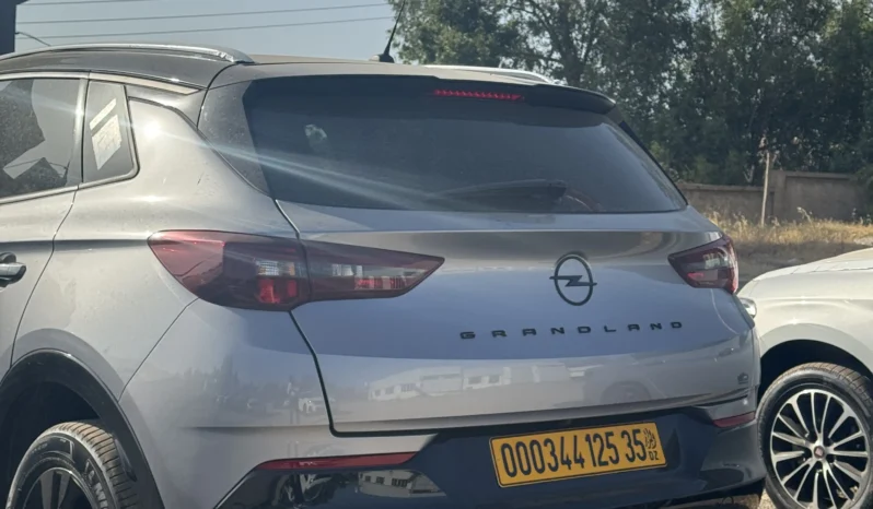 
								Opel Grandland full									