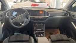 
Opel Grandland full									
